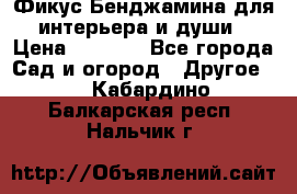 Фикус Бенджамина для интерьера и души › Цена ­ 2 900 - Все города Сад и огород » Другое   . Кабардино-Балкарская респ.,Нальчик г.
